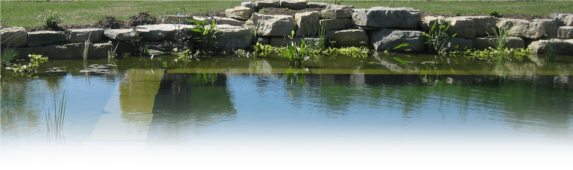 Home > Water Features > Natural Swimming Pools - Reflection Clipart (2000x690), Png Download