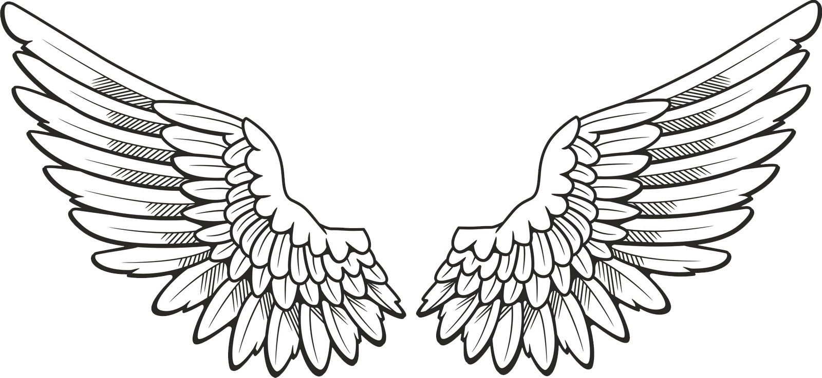 White Wings - Wings Drawing Clipart (1600x737), Png Download