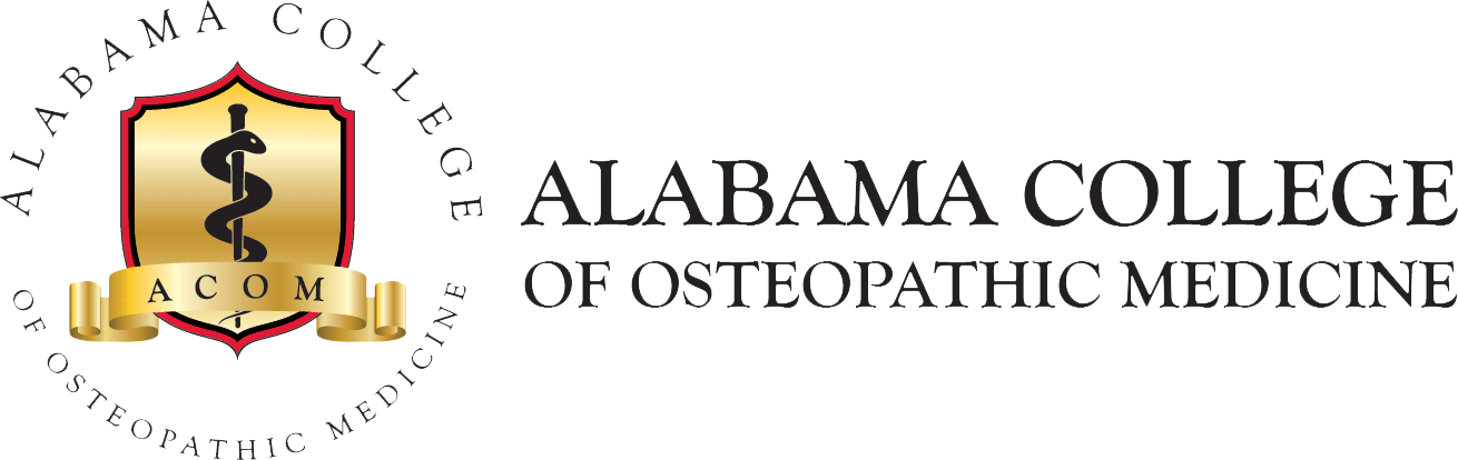 Partner Spotlight - Calligraphy Clipart (1310x414), Png Download