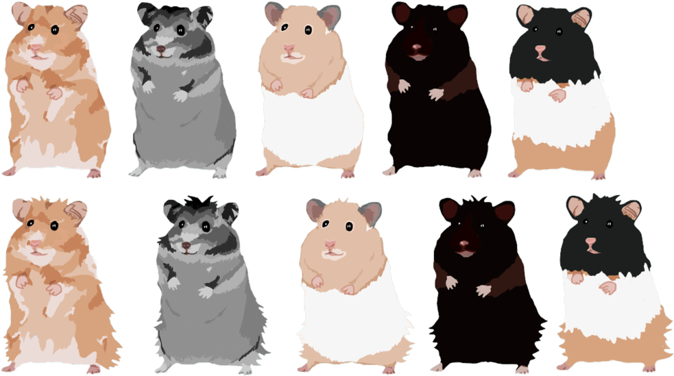 Hamster - 1 - Cartoon Clipart (1024x683), Png Download