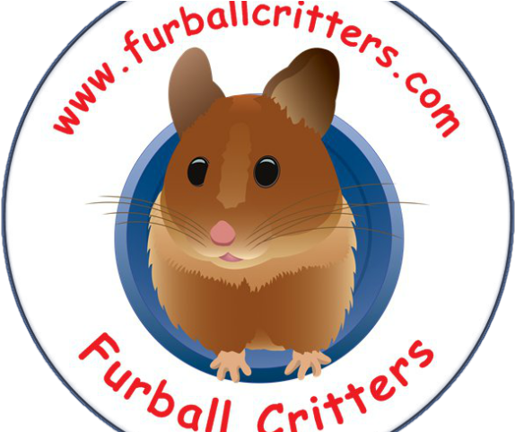 Hamster Clipart Dwarf Hamster - Logo Hamsters - Png Download (640x480), Png Download