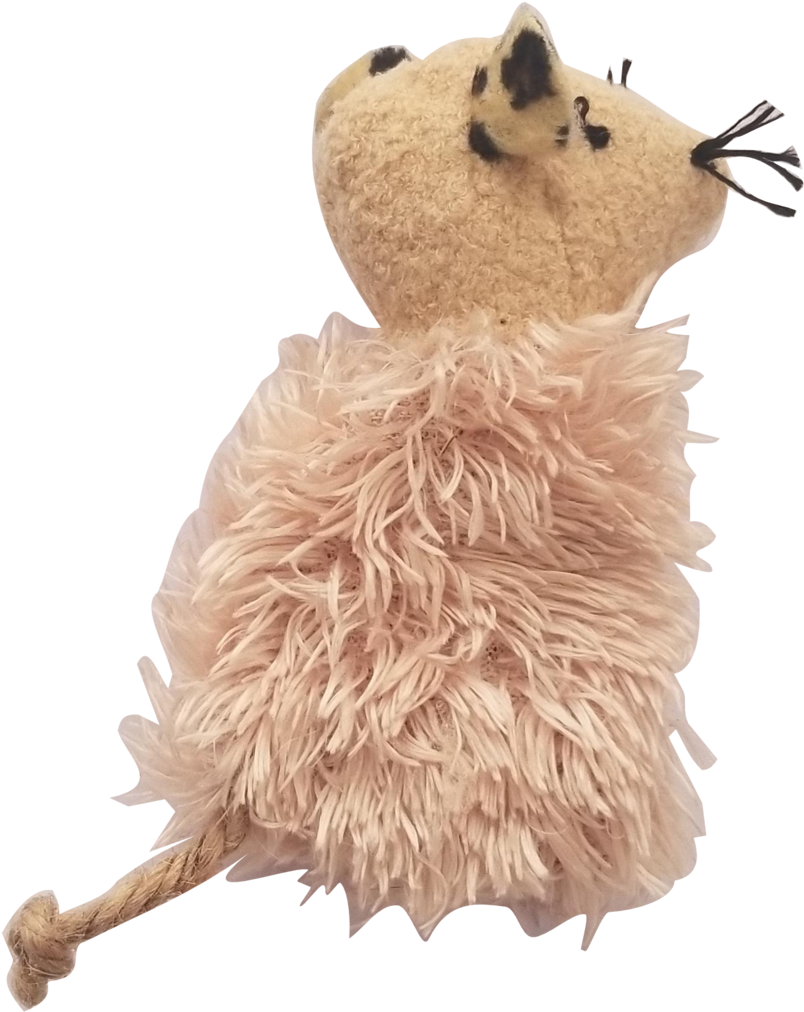 Deluxe Cat Herb & Toy Sample Pack - Actinidia Polygama Clipart (1024x1024), Png Download