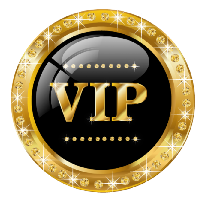 Logo Vip Png - Vip Png Clipart (700x696), Png Download