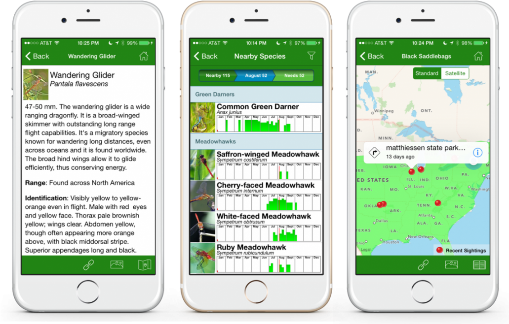 Dragonfly Id App - Dragonfly App Clipart (1030x683), Png Download
