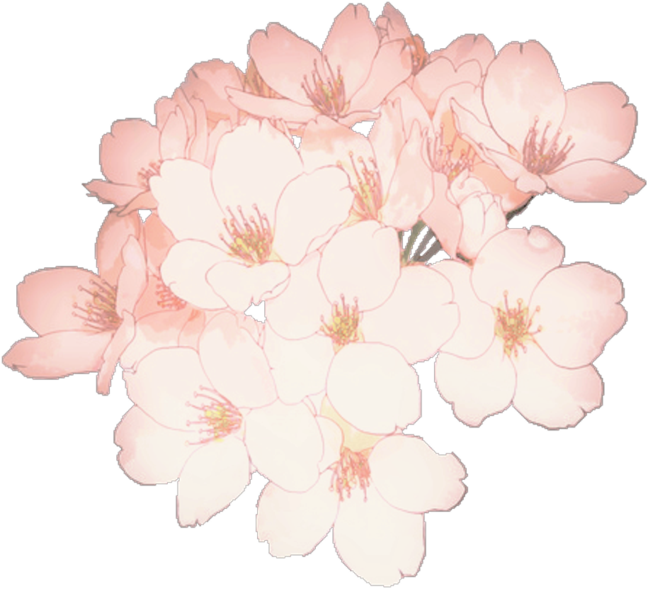 Aesthetic Flowers Background Tumblr aesthetic elegants Aesthetic Flowers Background Tumblr aesthetic elegants