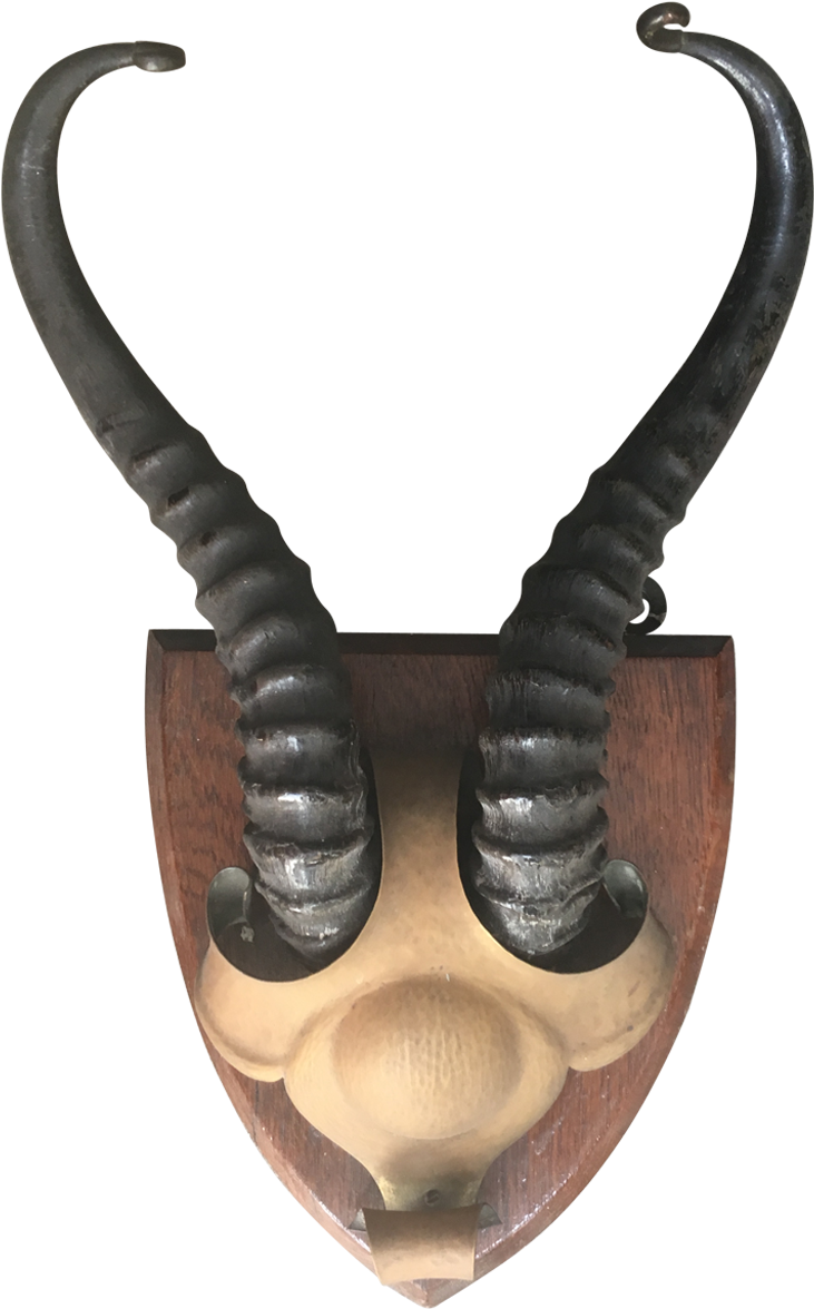 Viyet - Designer Furniture - Accessories - Vintage - Horn Clipart (1200x1200), Png Download