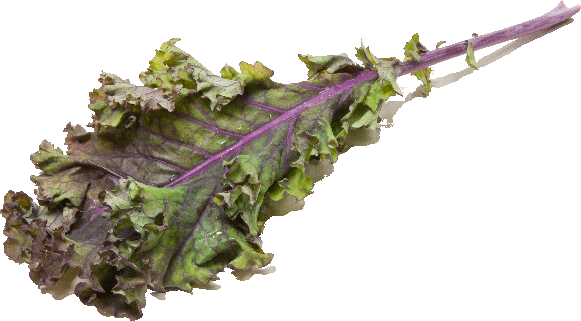 Chard Clipart (2407x1926), Png Download