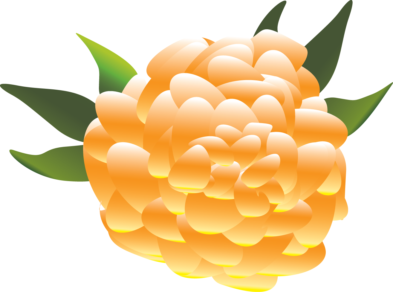 Flowers Clipart Mexican - Transparent Mexican Flower - Png Download (1315x977), Png Download