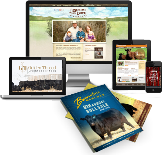 Online Advertising Clipart (600x553), Png Download