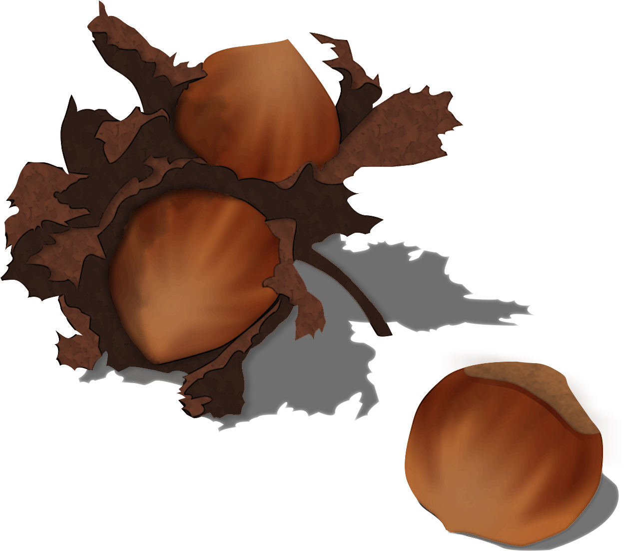 Acorn Clipart Hazelnut - Illustration - Png Download (1260x1149), Png Download