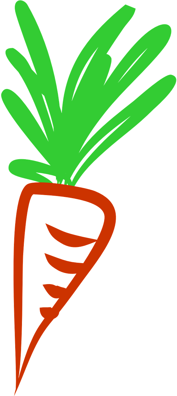 Carrots Health Vegetables Carrot Png Image - Warzywa Grafika Clipart (640x1280), Png Download