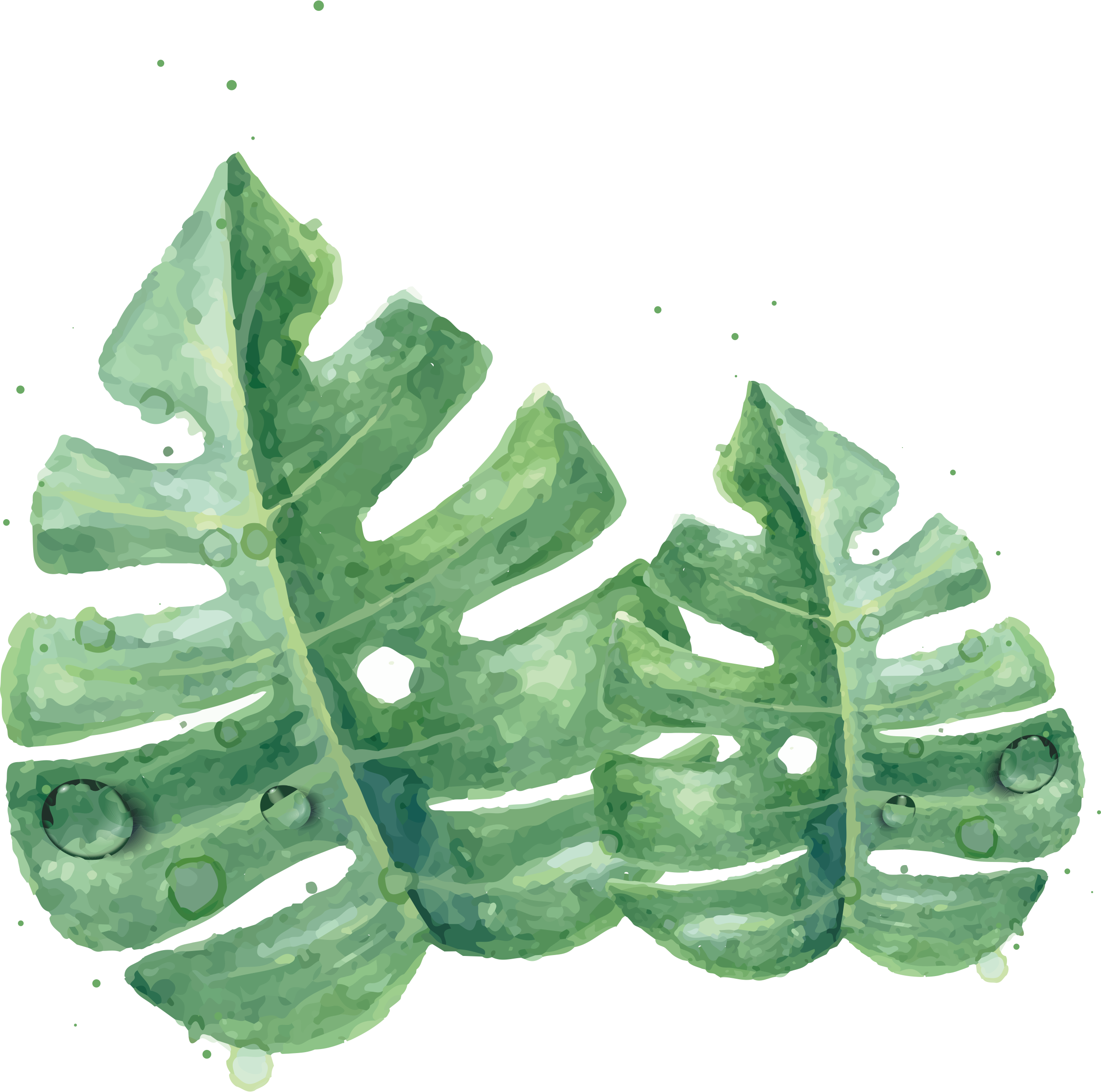 Leaf Leaves Watercolor Green Skin Painting Clipart - Watercolor Green Leaf Png Transparent Png (2460x2440), Png Download