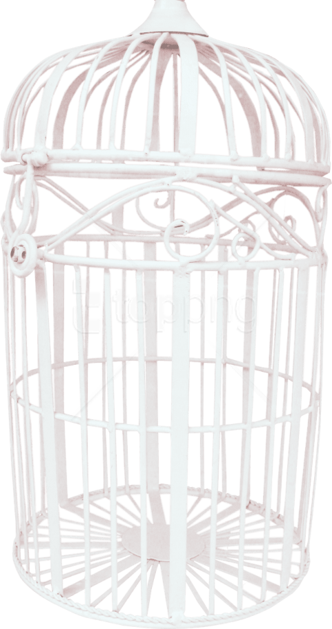 Free Png Bird Cage Png Images Transparent - Cage Clipart (481x912), Png Download