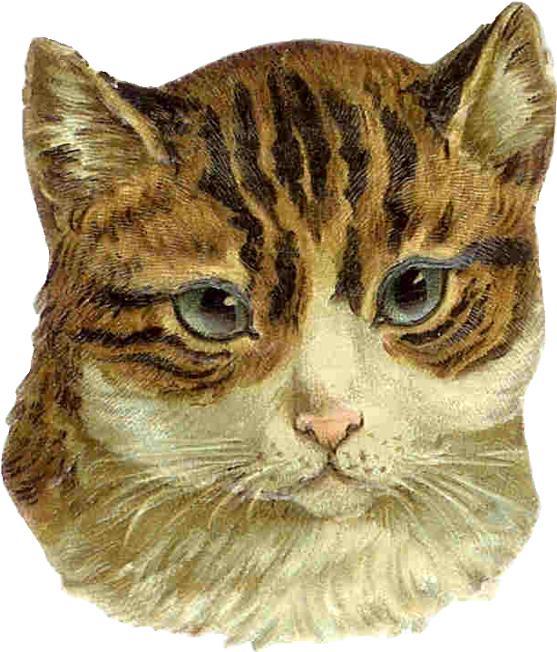 Cat Clip Art Vintage - Cat - Png Download (873x984), Png Download