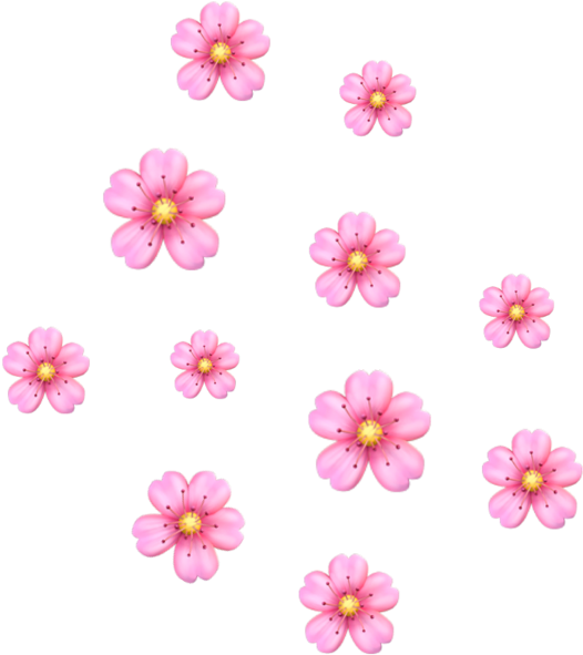 #emoji #aesthetic #flower #freetoedit - Zinnia Clipart (1024x1024), Png Download