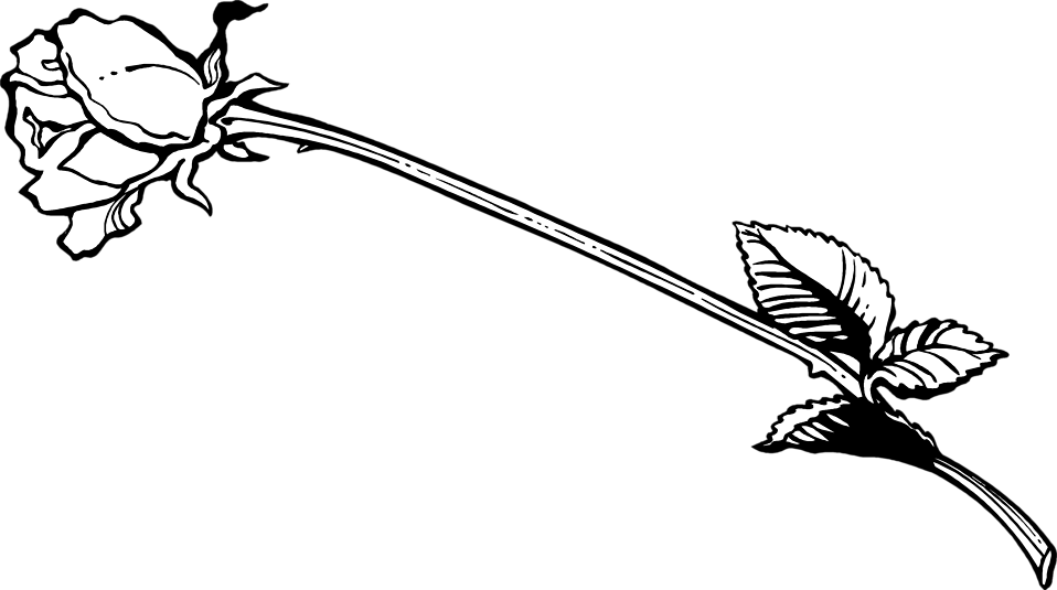 Stem Drawing Outline - Long Stem Rose Clip Art - Png Download (958x535), .....