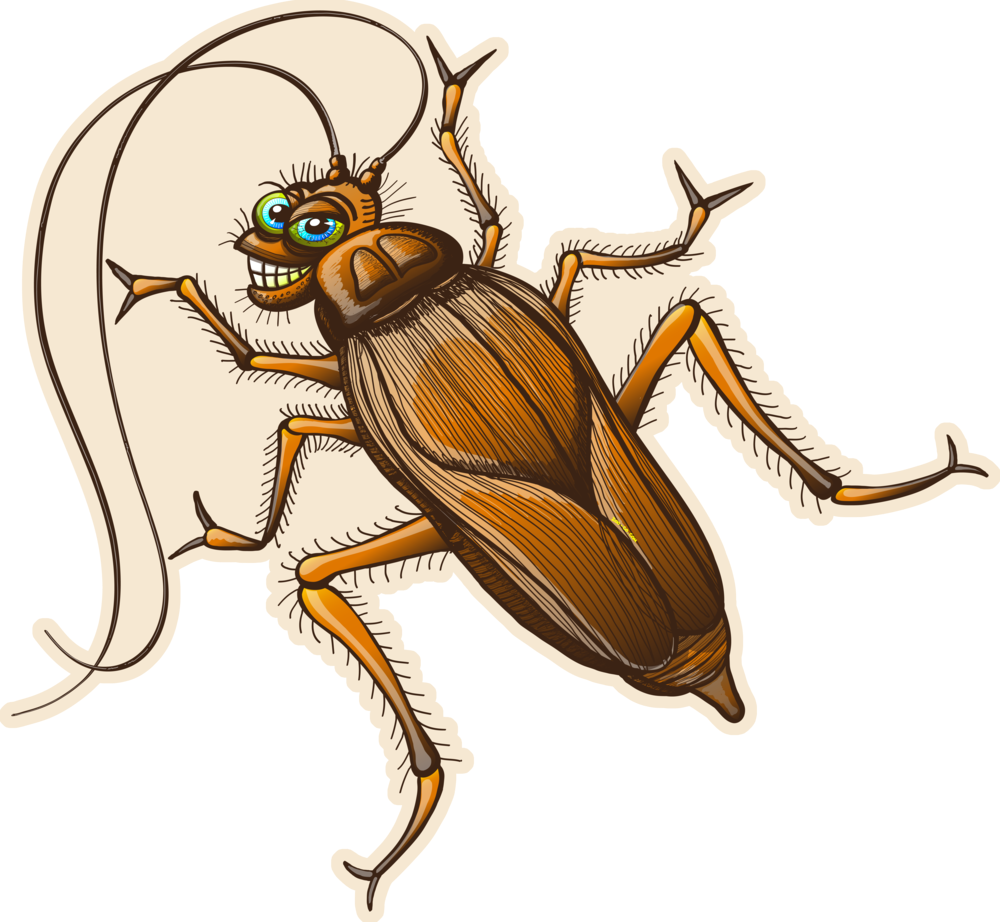 Cockroach Drawing Insect - Sexy Cockroach Clipart (1000x922), Png Download
