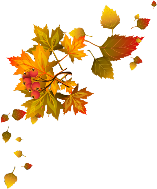 Bordures,tubes Coins,corners Autumn Leaf Color, Autumn - Fall Leaves Corner Clip Art - Png Download (600x723), Png Download