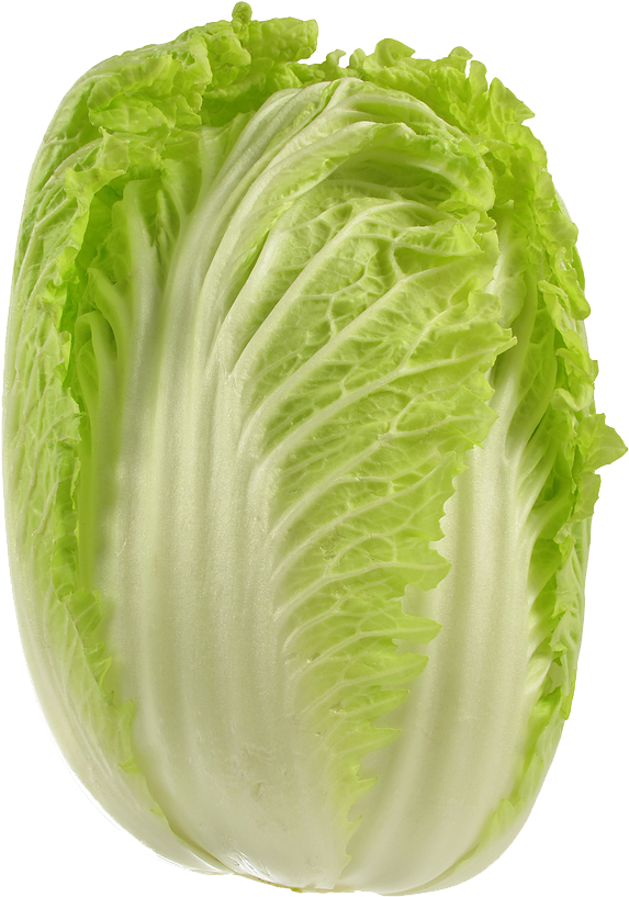 Cabbage Png Picture - Napa Vegetable Clipart (675x900), Png Download