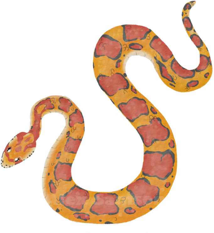 Corn Snake Png - Serpent Clipart (682x743), Png Download