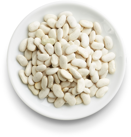 Cannellini Beans - Pebble Clipart (600x600), Png Download