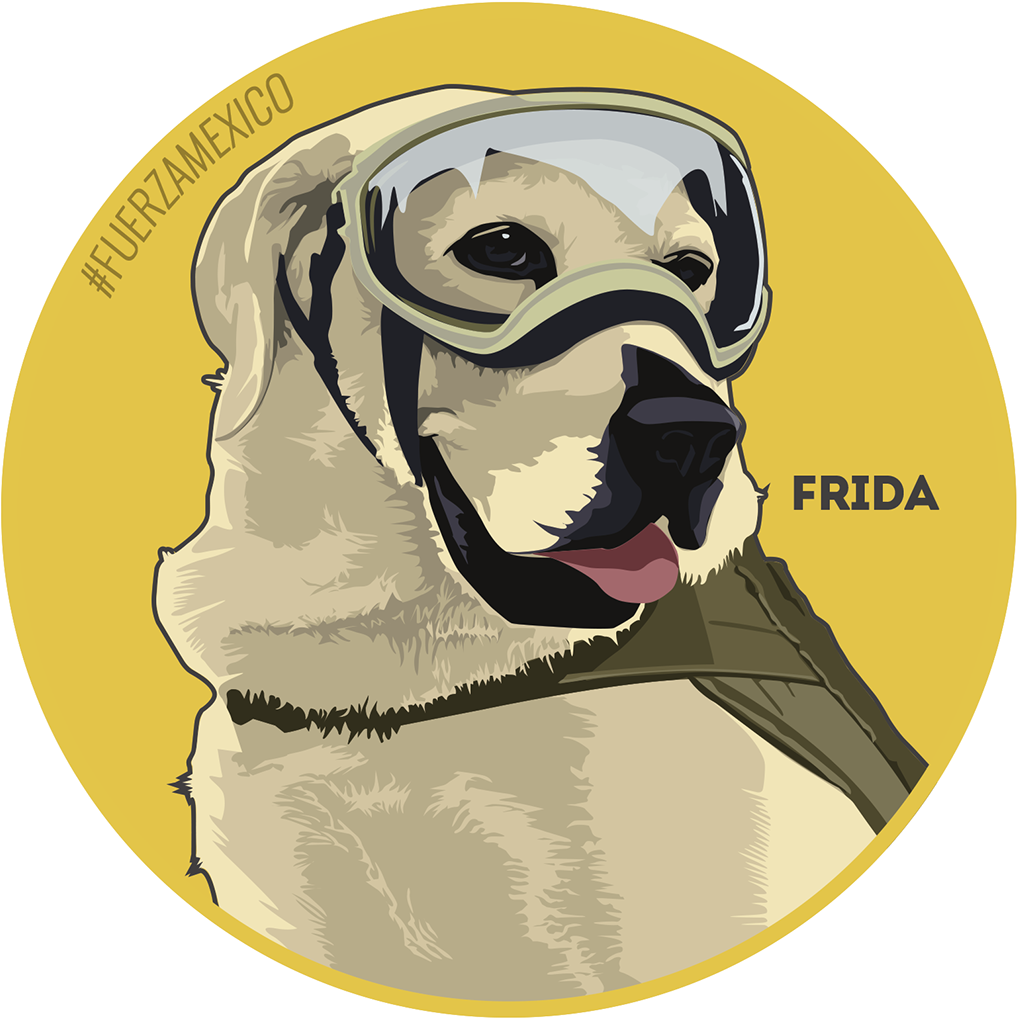 Pug , Png Download - Pug Clipart (1017x1018), Png Download