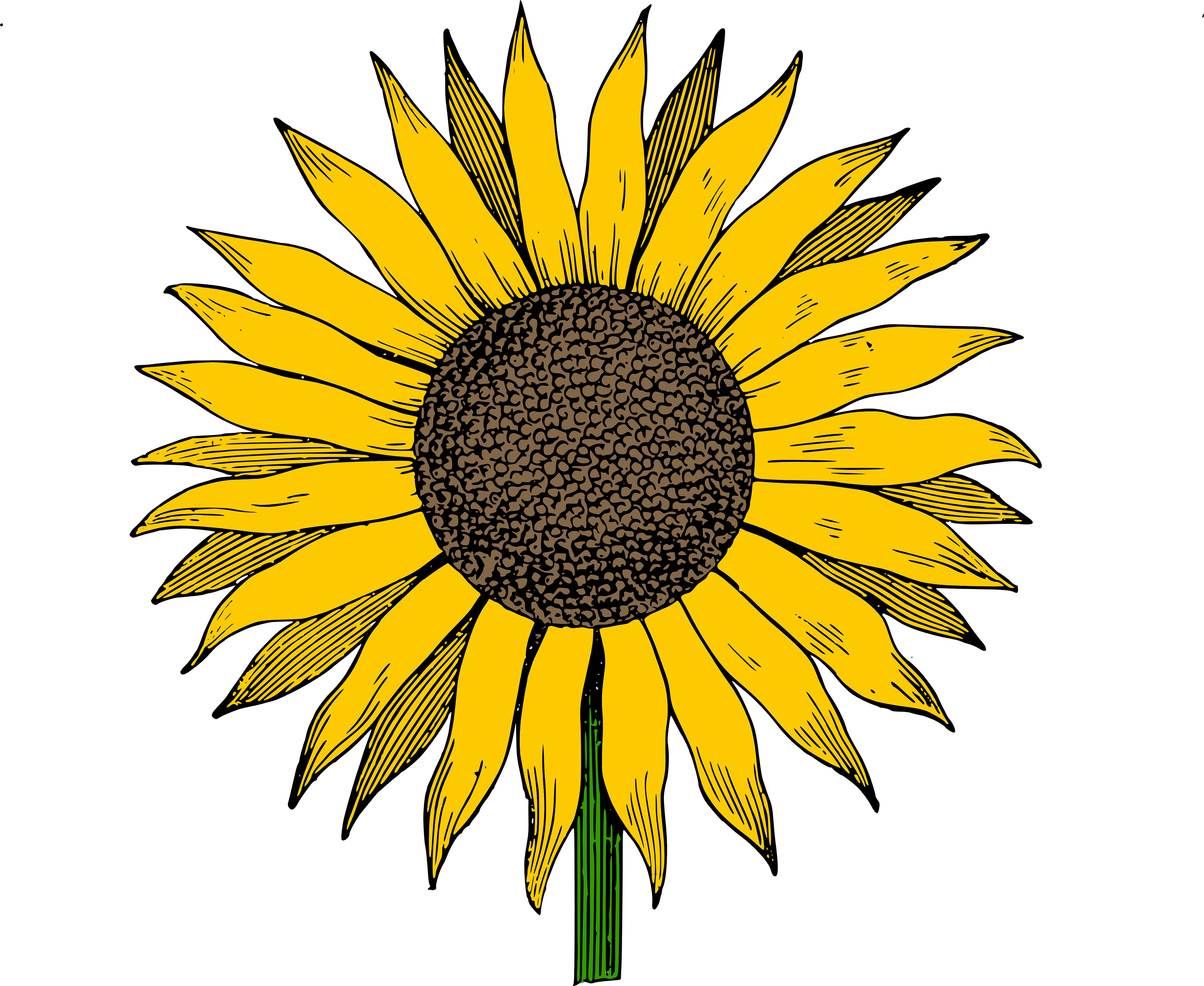Free Clip Art Sunflower Image Department Download - Sunflower Clipart - Png Download (3000x2457), Png Download