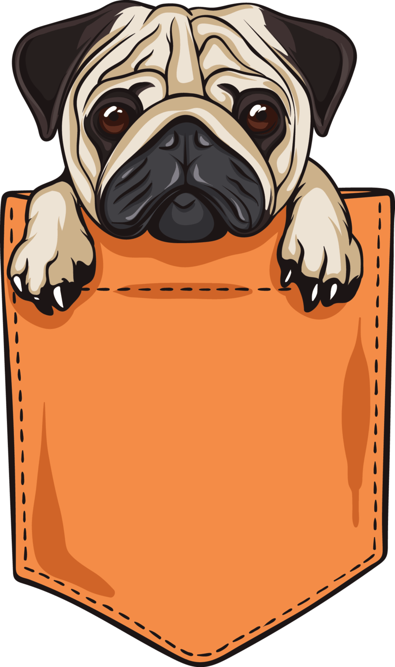 Pug On Pocket Clipart (800x1352), Png Download