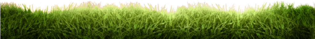 Grass Floor Png - Field Clipart (1024x1126), Png Download
