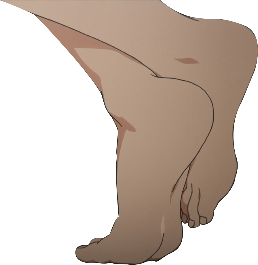 View Feet , - California Sea Lion Clipart (915x927), Png Download