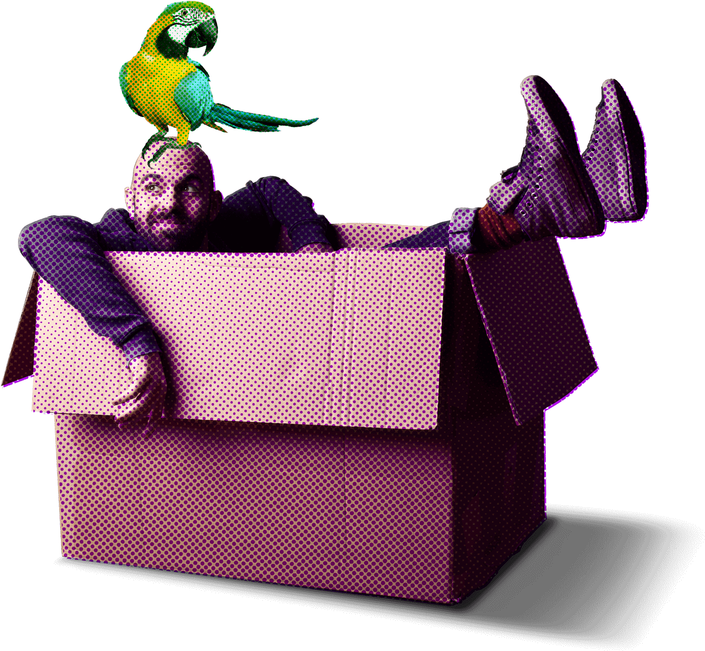 Content Capture - Macaw Clipart (1515x1361), Png Download