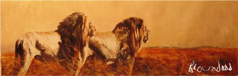 Calf Clipart (800x600), Png Download