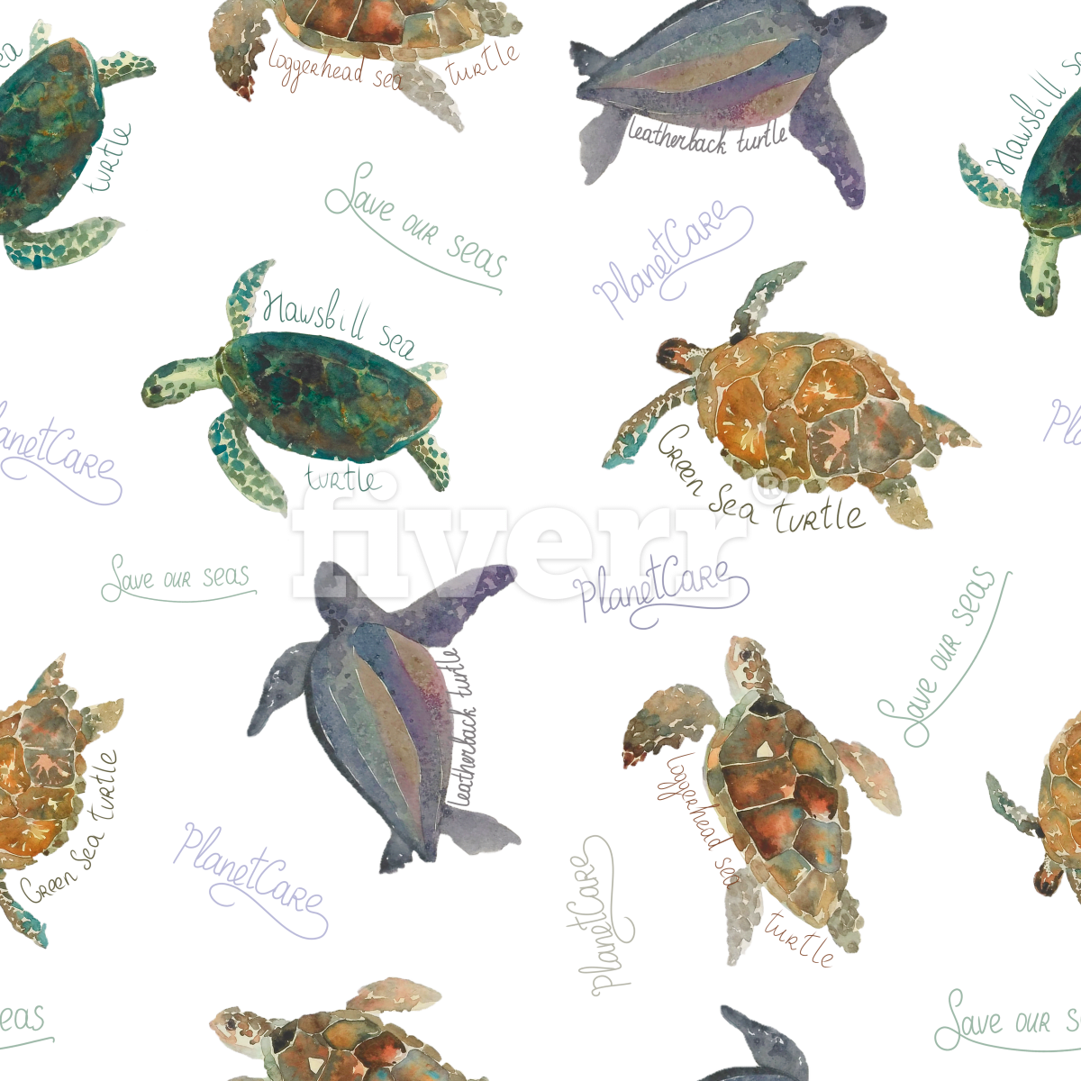 Hawksbill Sea Turtle , Png Download - Hawksbill Sea Turtle Clipart (1200x1200), Png Download
