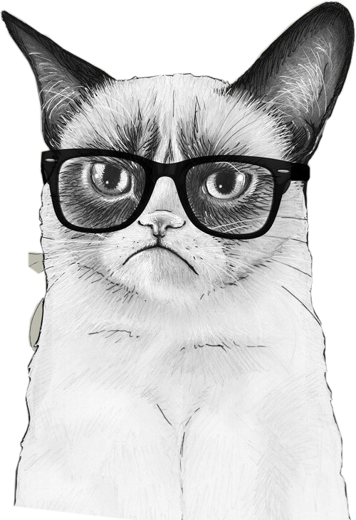 Grumpy Cat - Grumpy Cat Chemistry Clipart (500x731), Png Download