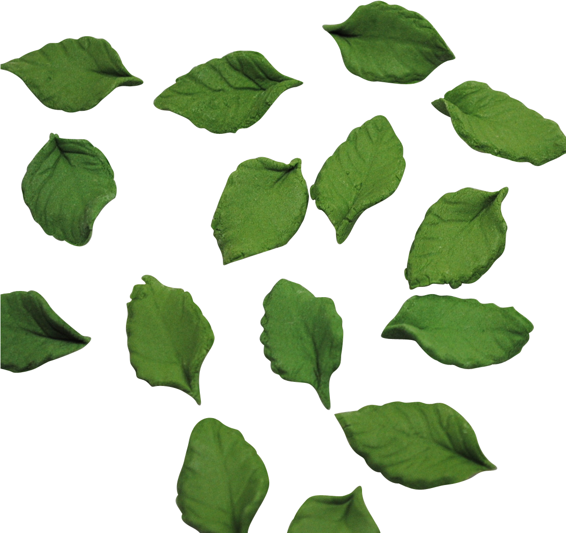 Mini Rose Leaves , Png Download - Portable Network Graphics Clipart (1110x1044), Png Download