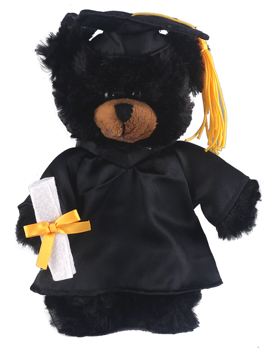Black Teddy Bear - Teddy Bear Clipart (556x709), Png Download