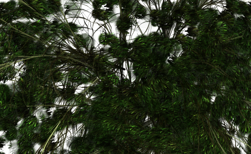 Flowers - Pond Pine Clipart (969x596), Png Download