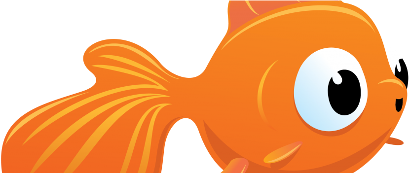 Goldfish 01 - Vbs 2016 Submerged Clipart (960x350), Png Download