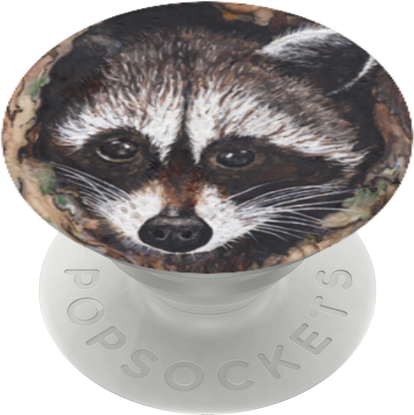 Peek A Boo Raccoon, - Ferret Clipart (989x1000), Png Download