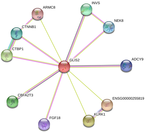 Circle Clipart (975x485), Png Download