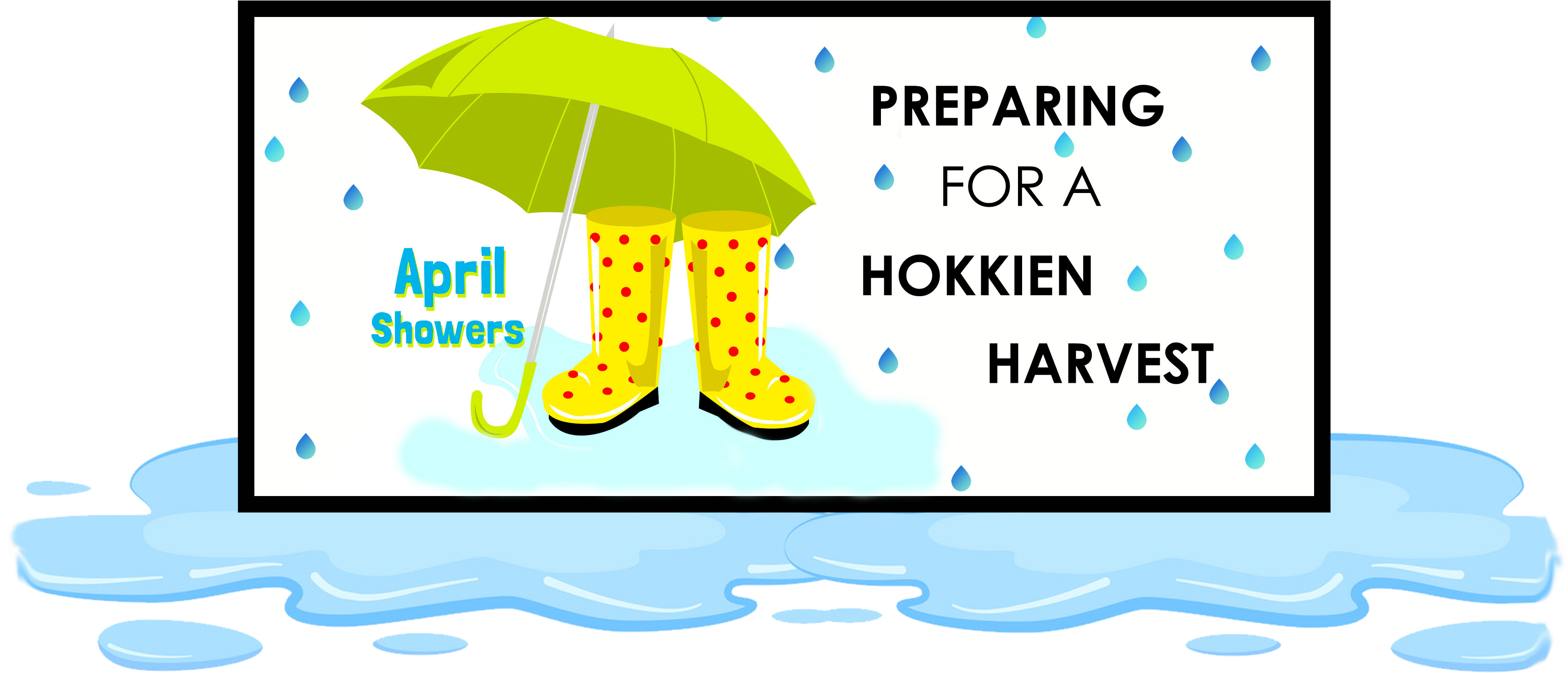 Final Title April And Puddle - Umbrella Clipart (3464x1587), Png Download