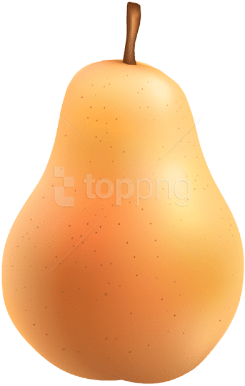 Free Png Pear Png - Asian Pear Clipart (480x754), Png Download
