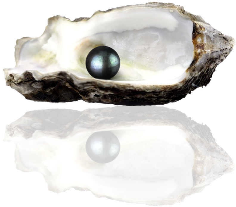 Zaressi Bespoke Pearl - Cleaning Pearls Clipart (802x734), Png Download