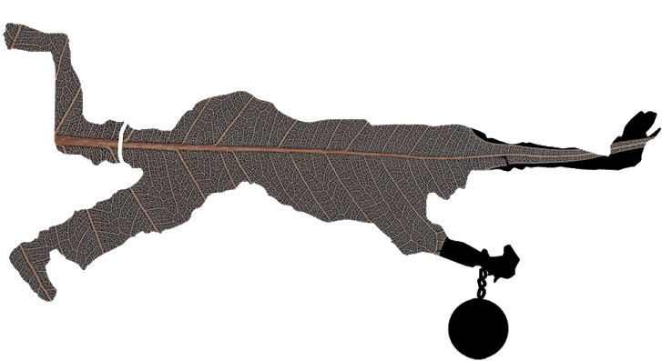 Cannon Clipart (950x422), Png Download