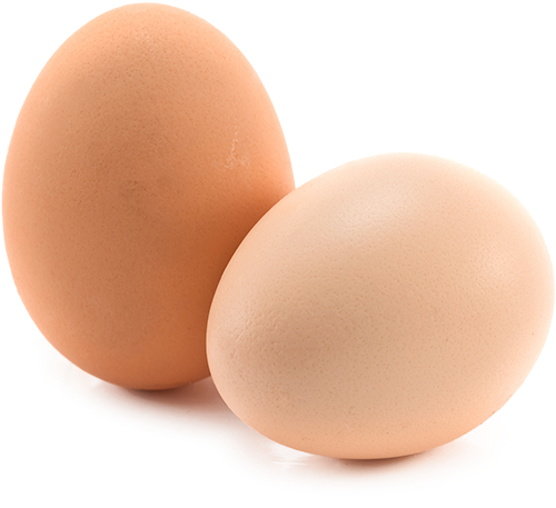 Two Eggs Png Clipart (600x561), Png Download