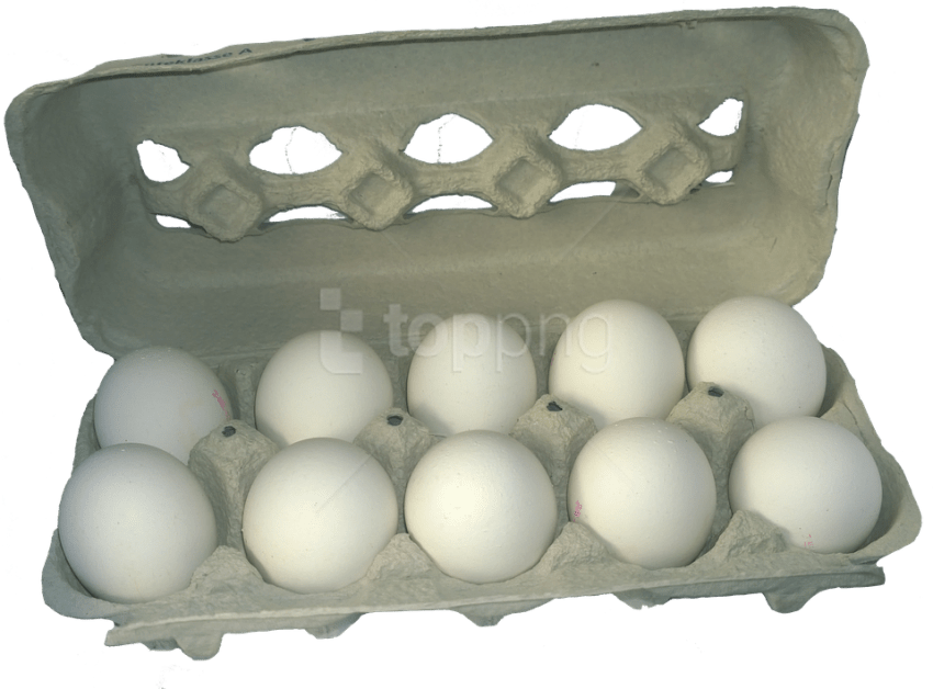 Free Png Download Eggs Png Images Background Png Images Egg Tray