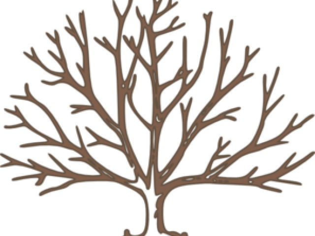 Dead Tree Clipart Branchless - Draw A Winter Tree - Png Download (640x480), Png Download