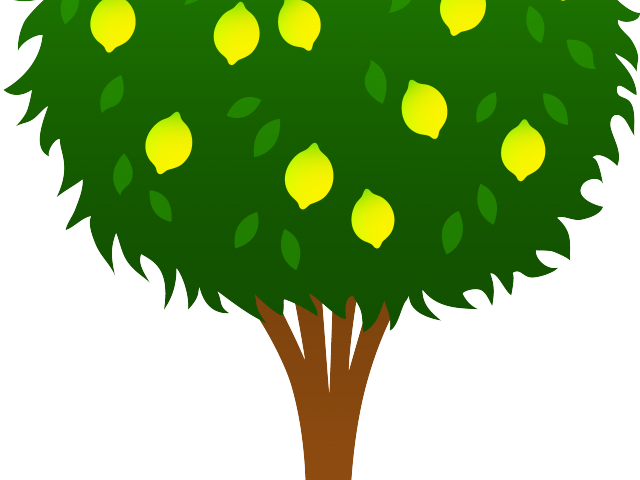 Lemon Tree Clipart - Blackberry Tree Clip Art - Png Download (640x480), Png Download