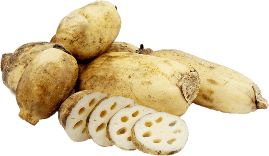 Download - Lotus Root In Spanish Clipart (872x525), Png Download