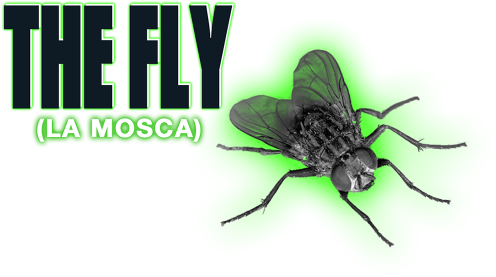The Fly Image - Net-winged Insects Clipart (992x554), Png Download